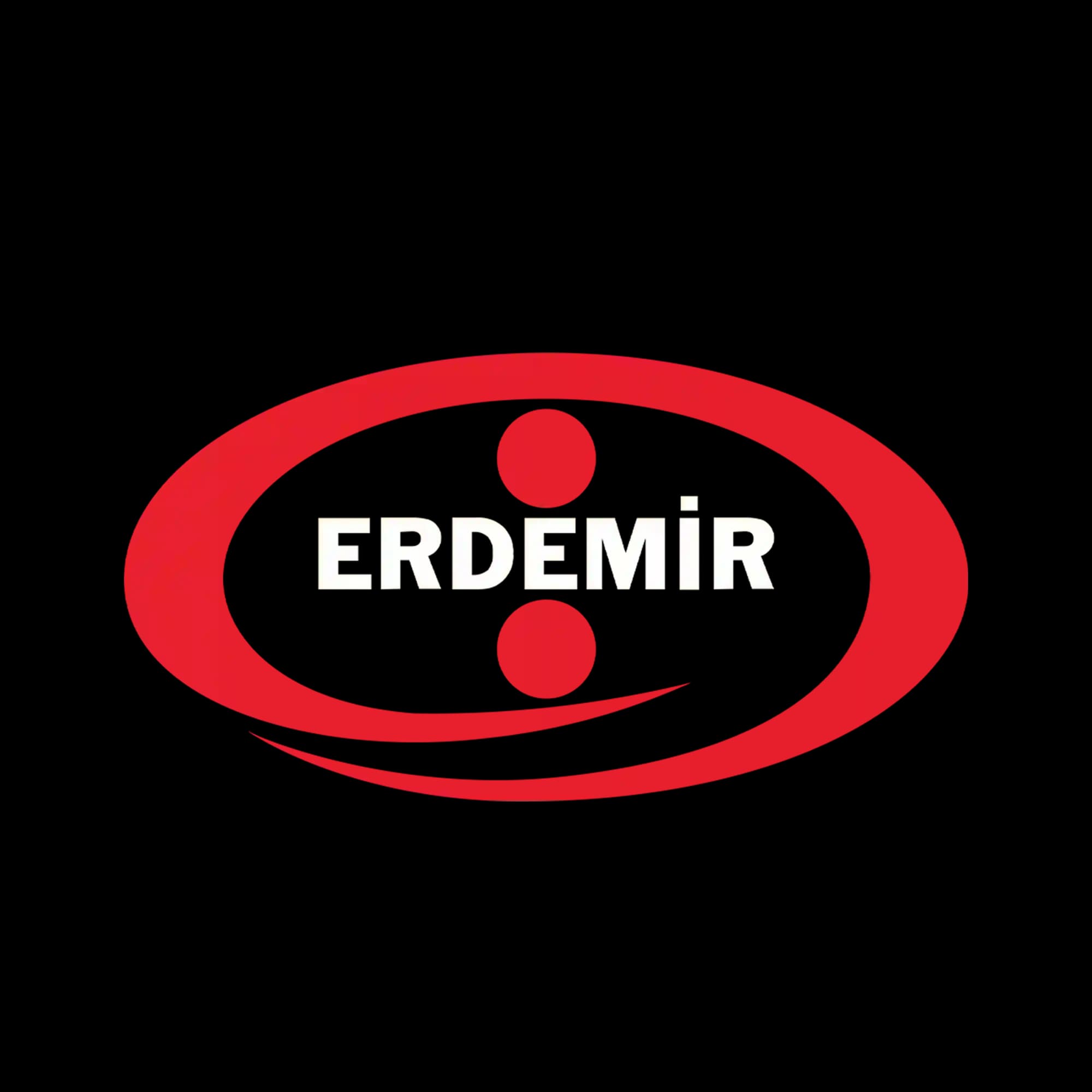 Erdemir Group